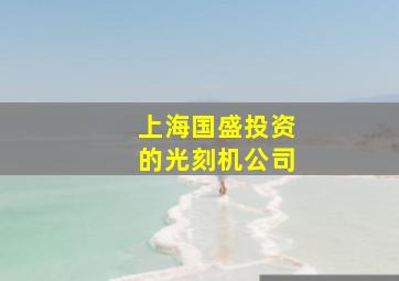 上海国盛投资的光刻机公司