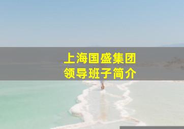 上海国盛集团领导班子简介