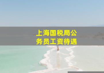 上海国税局公务员工资待遇