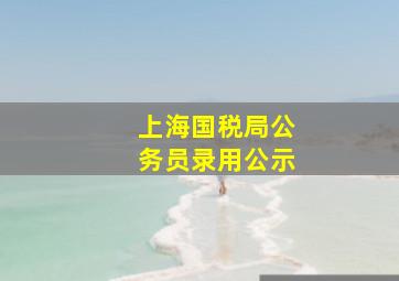 上海国税局公务员录用公示