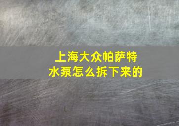 上海大众帕萨特水泵怎么拆下来的