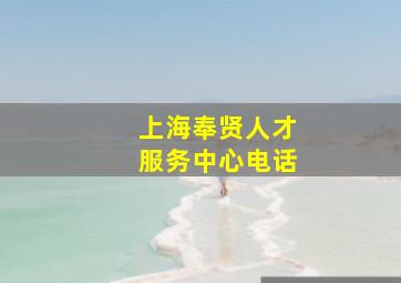 上海奉贤人才服务中心电话