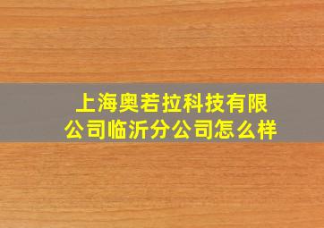 上海奥若拉科技有限公司临沂分公司怎么样