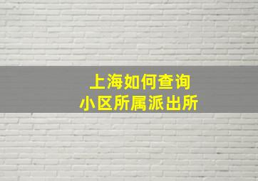 上海如何查询小区所属派出所