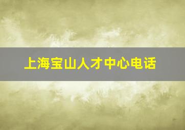 上海宝山人才中心电话