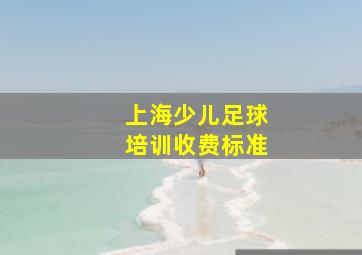 上海少儿足球培训收费标准