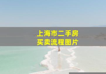 上海市二手房买卖流程图片