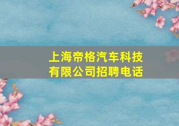 上海帝格汽车科技有限公司招聘电话