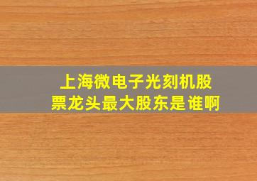 上海微电子光刻机股票龙头最大股东是谁啊