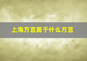 上海方言属于什么方言