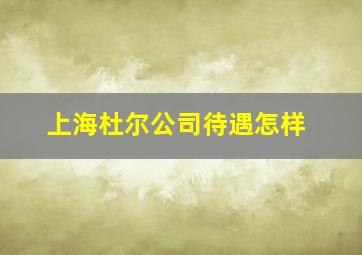 上海杜尔公司待遇怎样