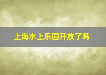 上海水上乐园开放了吗