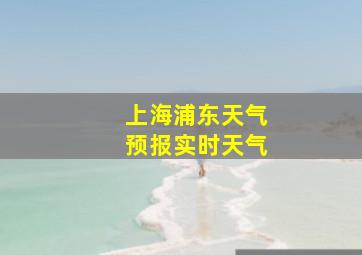 上海浦东天气预报实时天气