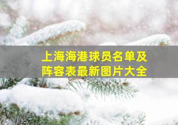 上海海港球员名单及阵容表最新图片大全