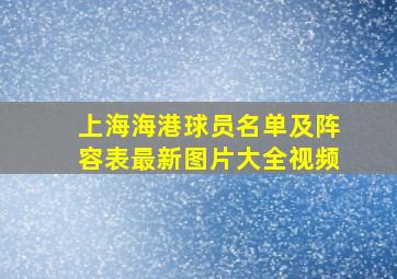 上海海港球员名单及阵容表最新图片大全视频