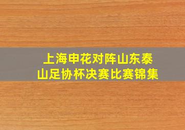 上海申花对阵山东泰山足协杯决赛比赛锦集