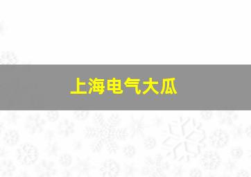 上海电气大瓜