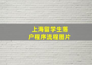 上海留学生落户程序流程图片