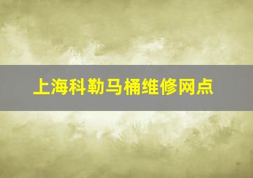 上海科勒马桶维修网点