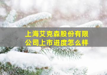 上海艾克森股份有限公司上市进度怎么样