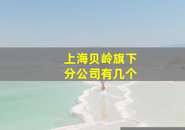 上海贝岭旗下分公司有几个