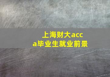 上海财大acca毕业生就业前景