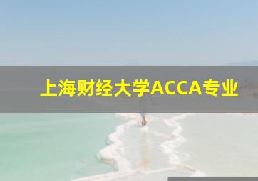 上海财经大学ACCA专业