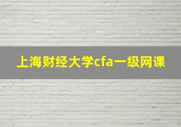 上海财经大学cfa一级网课