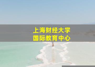 上海财经大学国际教育中心