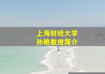 上海财经大学孙艳教授简介