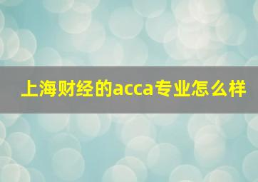 上海财经的acca专业怎么样