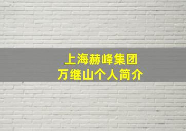 上海赫峰集团万继山个人简介