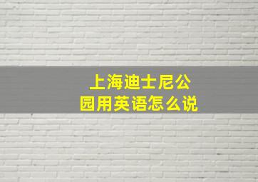 上海迪士尼公园用英语怎么说