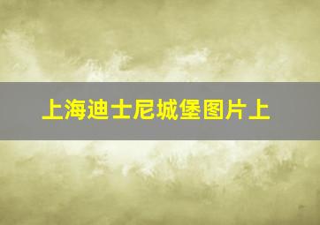 上海迪士尼城堡图片上