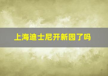 上海迪士尼开新园了吗