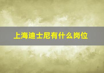 上海迪士尼有什么岗位