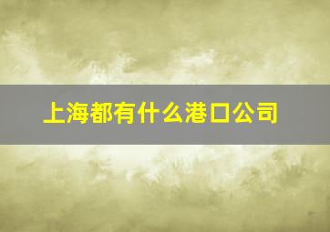 上海都有什么港口公司