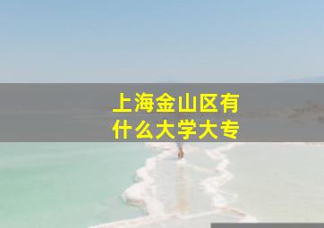 上海金山区有什么大学大专