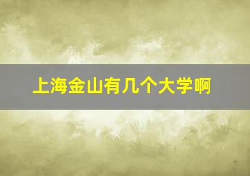 上海金山有几个大学啊