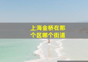 上海金桥在那个区哪个街道