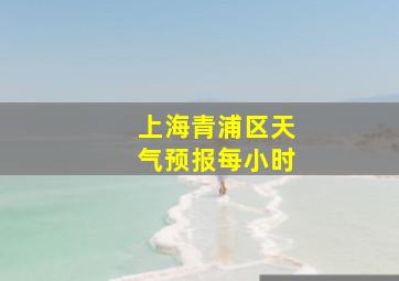 上海青浦区天气预报每小时