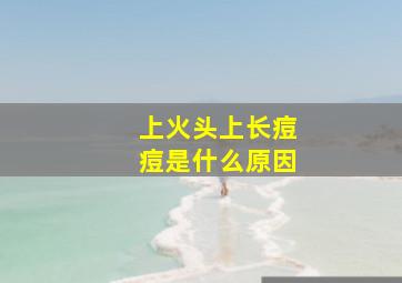 上火头上长痘痘是什么原因