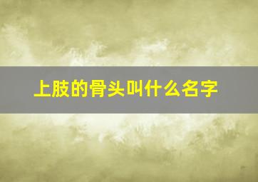 上肢的骨头叫什么名字