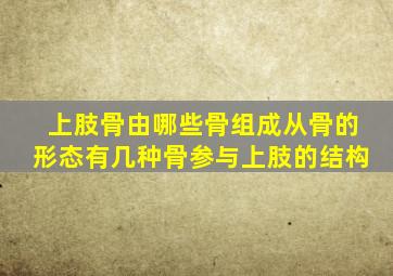 上肢骨由哪些骨组成从骨的形态有几种骨参与上肢的结构