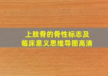 上肢骨的骨性标志及临床意义思维导图高清