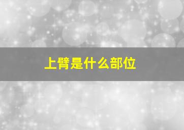 上臂是什么部位