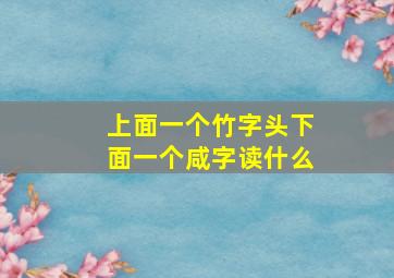 上面一个竹字头下面一个咸字读什么