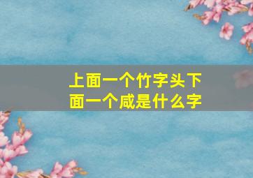 上面一个竹字头下面一个咸是什么字