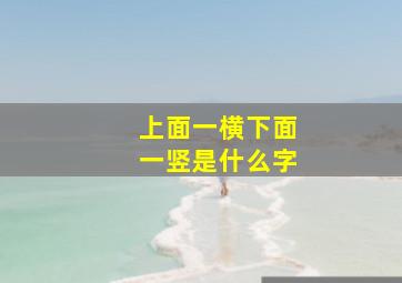 上面一横下面一竖是什么字