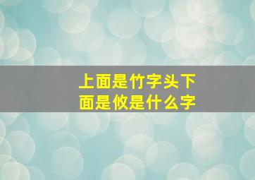 上面是竹字头下面是攸是什么字